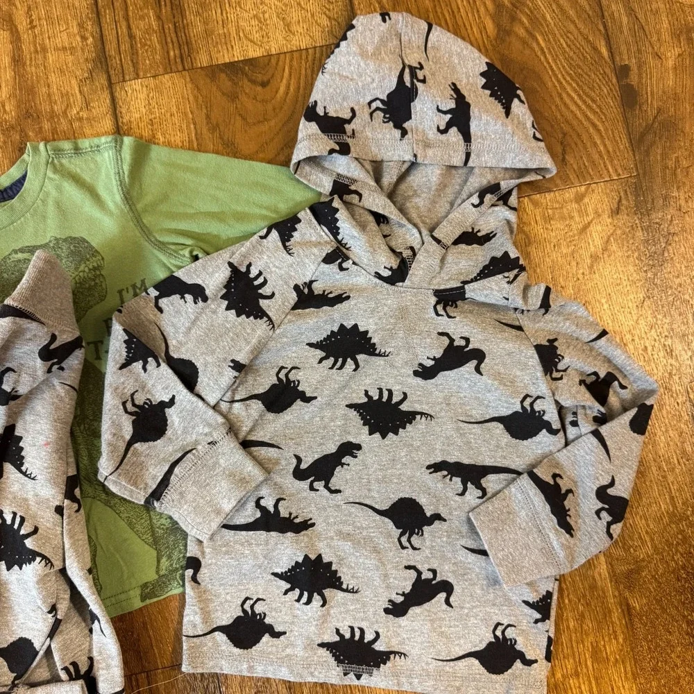 Toddler Baby Boy 2T Sweat Suits Clothes Lot Pants Hoodie Shirts Outfits Dinosaur